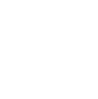 alarme maison homiris